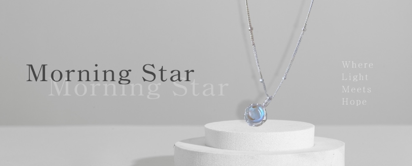 Morning Star 品牌形象 Banner