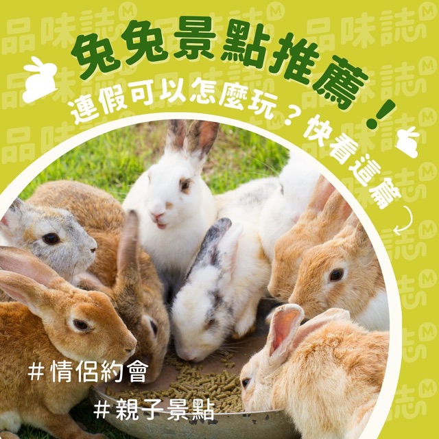 兔兔景點推薦 兔年看兔子 一起揚眉「兔」氣